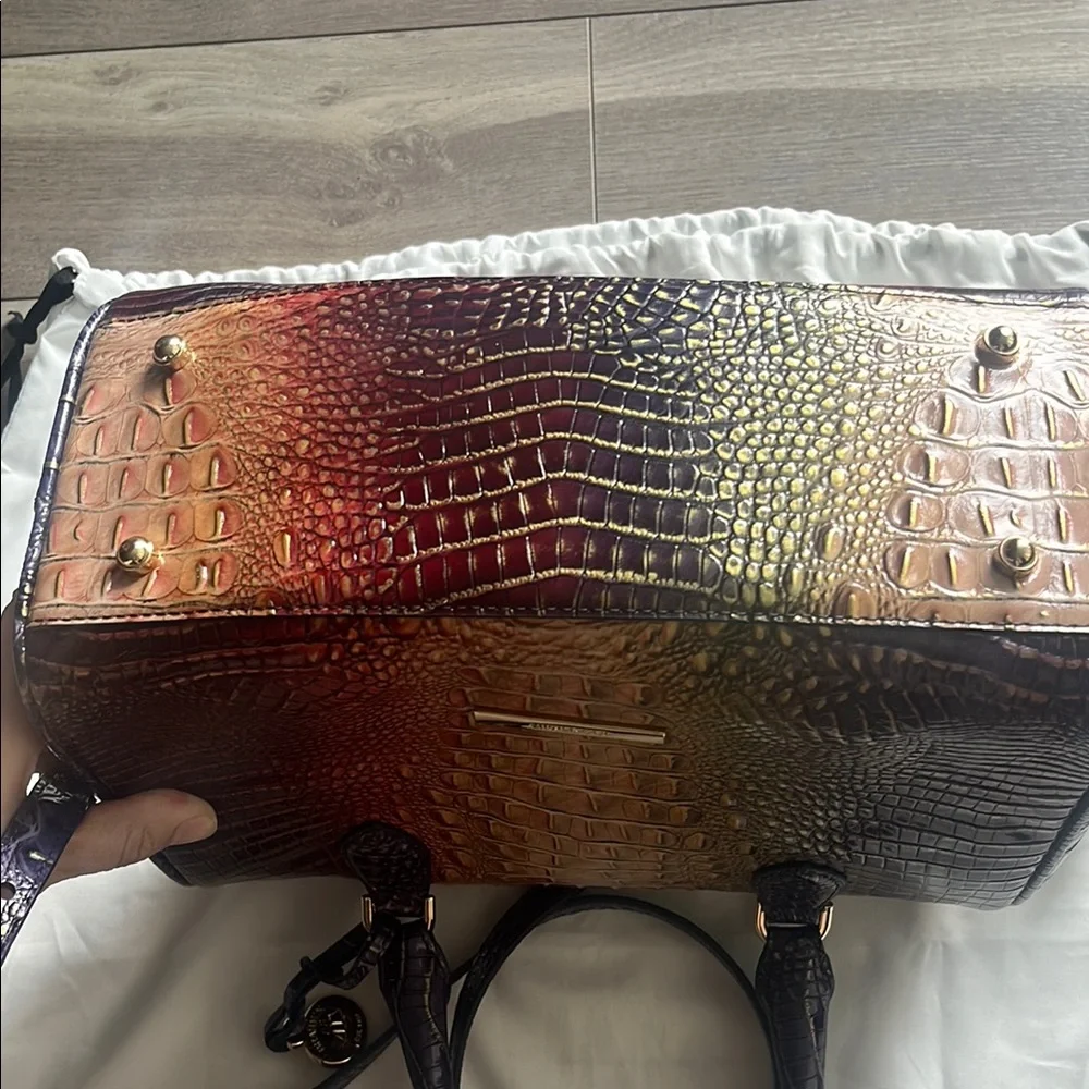 Brahmin Autumn Ombre Mini Melbourne - Picture 5 of 13